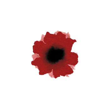 Fiori Oscuri Brera Milano info +39 328 2345620