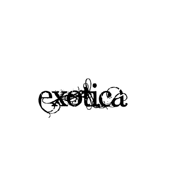 Exotica Lap Dance Milano info +39 3386360908