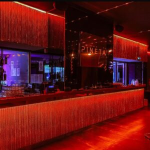 foto pineta milano 10