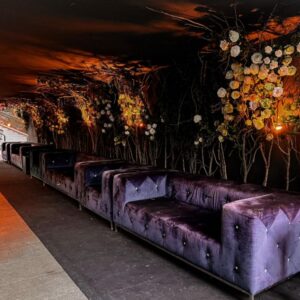 foto pineta milano 11